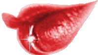 Gif animé bouche coeur